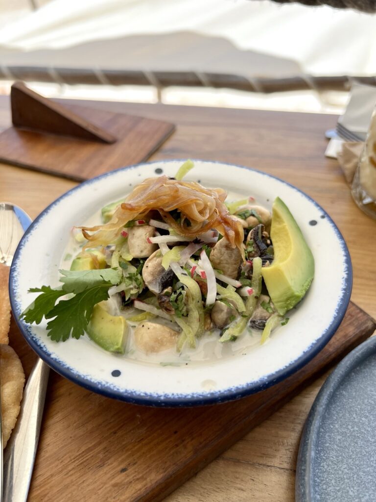 Bowl of ceviche with avocado