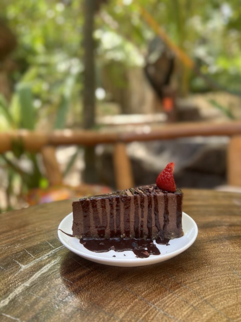 piece of chocolate cake garnishished with raspberry on a plate