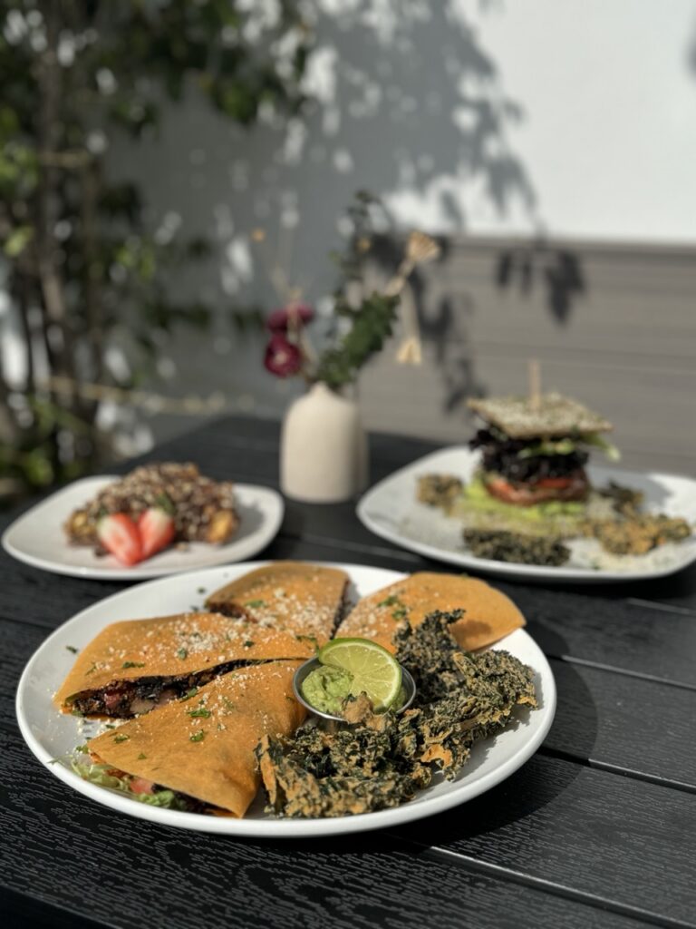 A spread of 3 plates of raw dishes on top of a table.  Raw quesadillas, raw burger and raw apple pie are pictured.