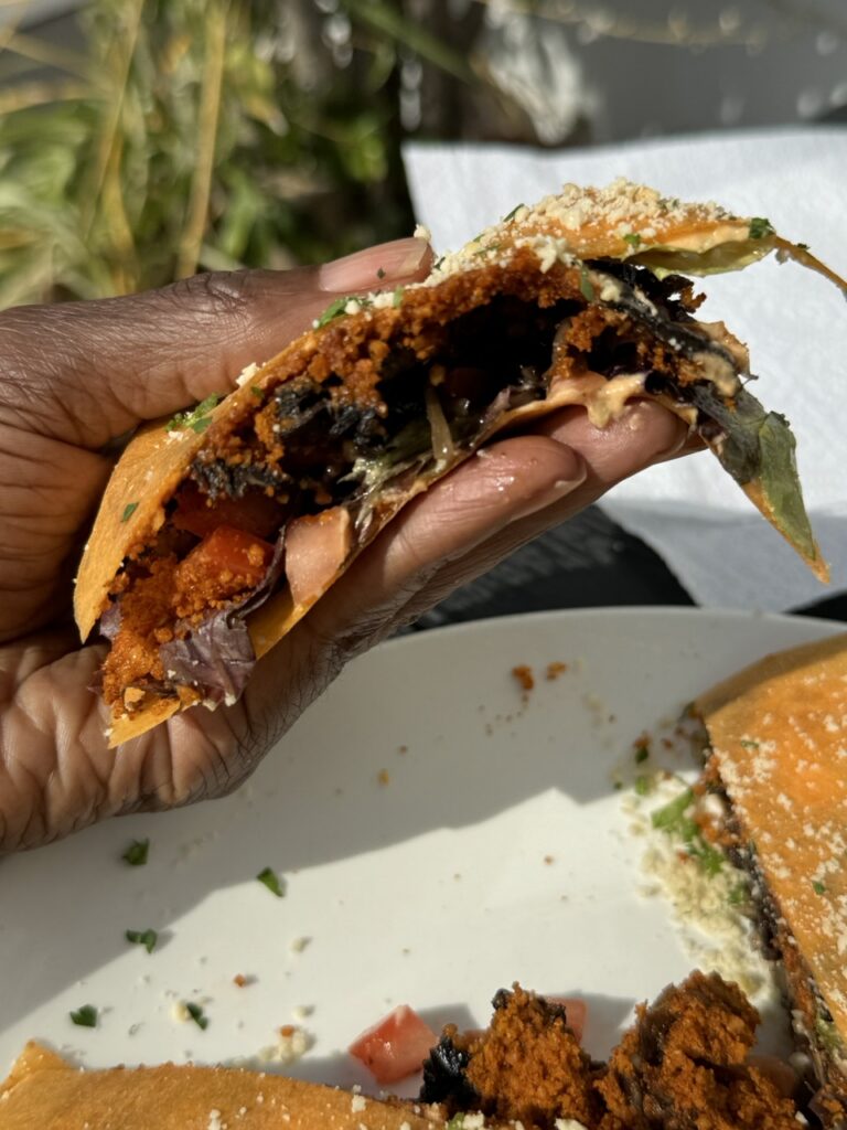 Hand holding a raw quesadilla served with a side of kale chips